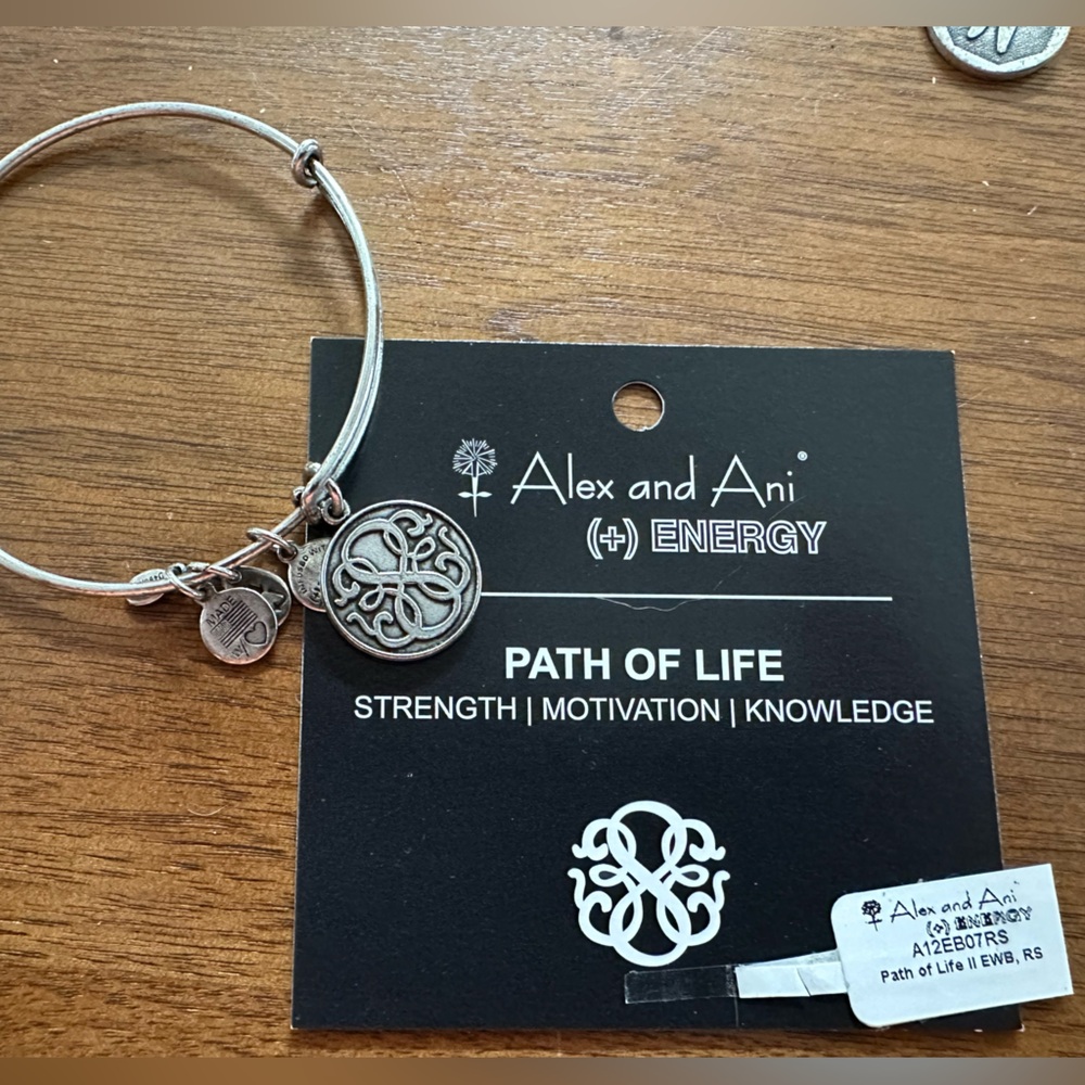 Alex and Ani Vintage 2012 Russian Silver “Path of Life” charm Bracelet